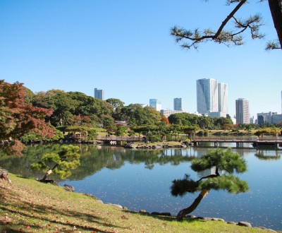 Hama Rikyu (Tokyo), Jardin japonais traditionnel et immeubles modernes en arrière-plan