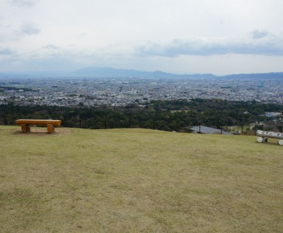 Mont Wakakusa, Vue sur la ville de Nara