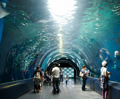 Aqua Park Shinagawa, attraction Water Tube