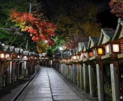 Chogosonshi-ji (Shigisan) de nuit (Nara)