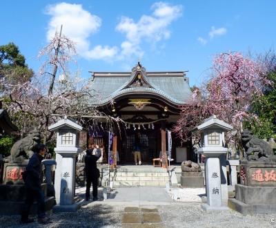 Pavillon principal du sanctuaire Ushi-Tenjin Kitano-jinja à Tokyo