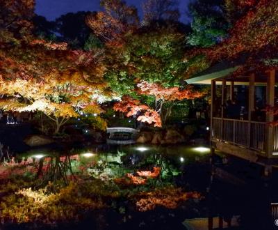 Parc Otaguro (Tokyo), vue de nuit et en automne sur le plan d'eau du jardin japonais 