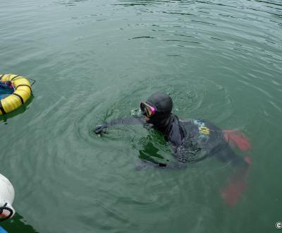Ama de la préfecture de Mie, plongeuse en train de pêcher en apnée au large du port de Wagu (Shima)
