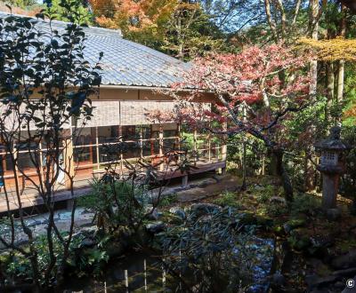 Kozan-ji (Takao, Kyoto), jardin intérieur du pavillon Sekisui-in à l'automne 