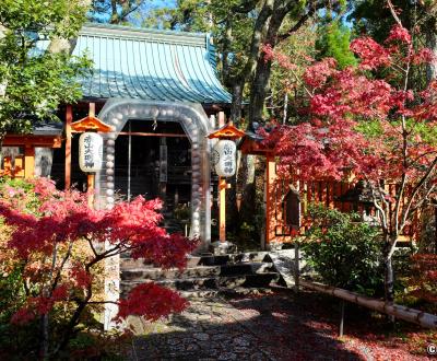 Sekizan Zen-in (Kyoto), pavillon principal du temple en automne