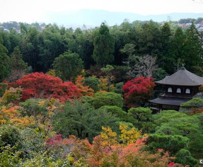 Ginkaku-ji, Vue sur le temple et le nord de Kyoto depuis les hauteurs en automne