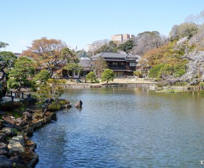 Jardin de Shin-Edogawa (Tokyo), vue sur le plan d'eau et la maison Shoseikaku