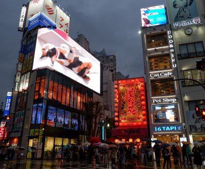 Chat 3D géant de Shinjuku sur le dos à la tombée de la nuit