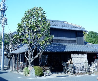 Yanaka (Tokyo), architecture traditionnelle autour du cimetière du quartier