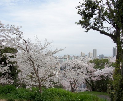 Vue sur Kobe depuis le parc Egeyama