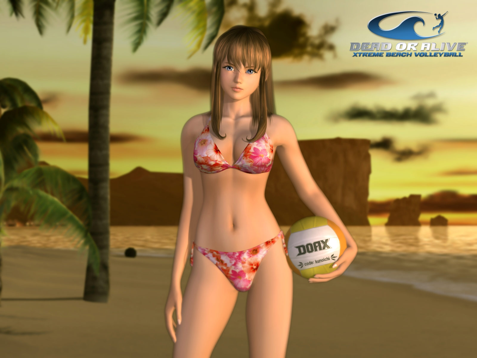 Dead Or Alive Extreme Beach Volley Ball