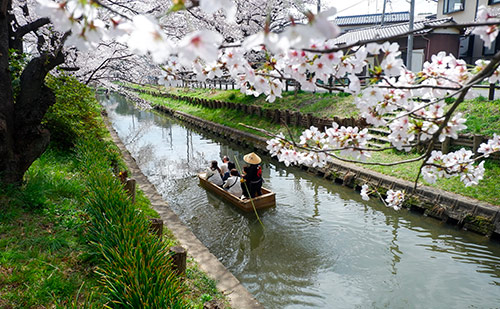 Préparer son voyage au Japon