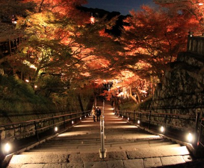 Kiyomizudera Momiji Nuit 15