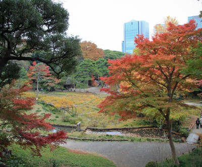 Koishikawa Korakuen 10