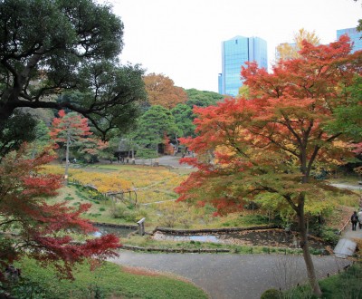 Koishikawa Korakuen 10