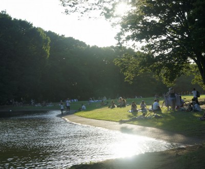 Parc Yoyogi à Tokyo, Visiteurs profitant de l'ombre et de l'étang en été