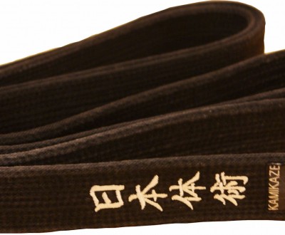 ceinture-nihon-taijitsu-1