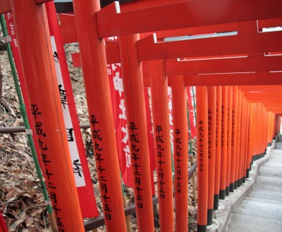 Hie-jinja (Tokyo), allée de torii