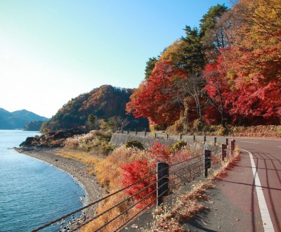 Lac Kawaguchiko (Mont Fuji), Vue sur le lac et les momiji en automne