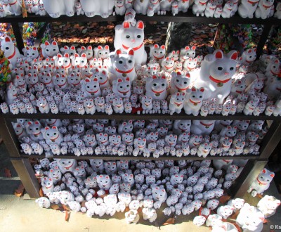 Gotoku-ji (Tokyo), Exposition de statuettes de chats Maneki-Neko