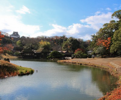 Hikone, Vue du donjon depuis un des jardins en automne
