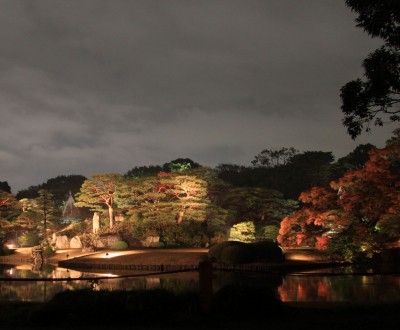 Rikugi-en (Tokyo), Vue d'ensemble sur le light-up des momiji en automne