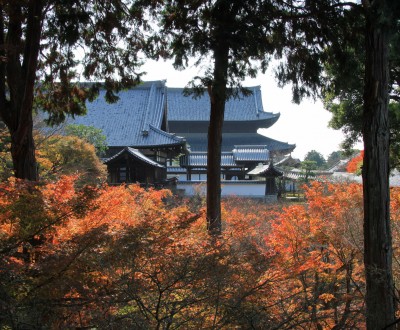 Tofuku-ji (Kyoto), Vue sur le temple en automne