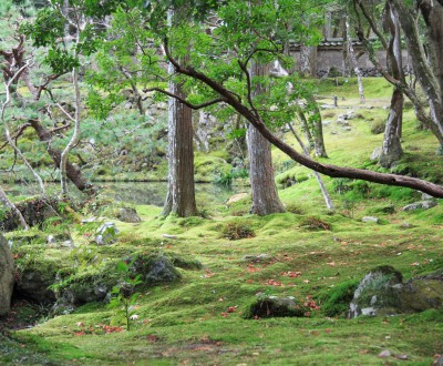 Saiho-ji temple Koke-dera (Kyoto)