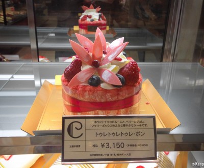 gateau-japonais-tres-tres-tres-bon