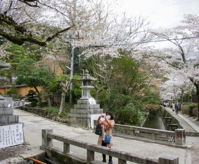 Chemin du Philosophe à Kyoto pendant la floraison des cerisiers au printemps
