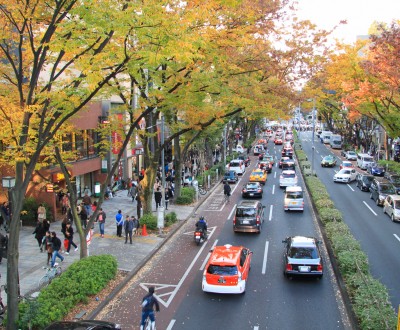 Avenue Omotesando (Tokyo), Circulation en automne