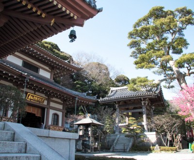 Hase-dera (Kamakura), Pavillon Amida-do