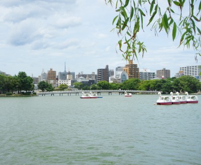 Parc Ohori (Fukuoka), Vue sur le lac et la ville