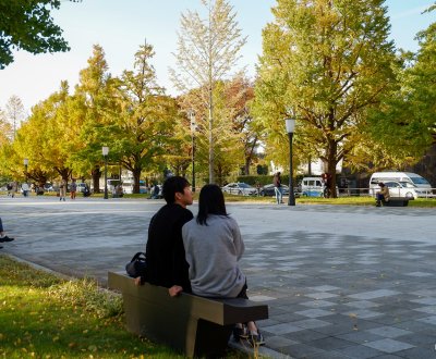 Marunouchi (Tokyo), allée de ginkgos jaunes entre la gare et les douves impériales (Gyoko-dori)