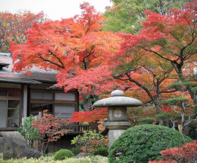 Koishikawa Korakuen (Tokyo), jardin japonais à l'automne
