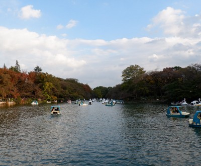Parc Inokashira à Kichijoji en automne