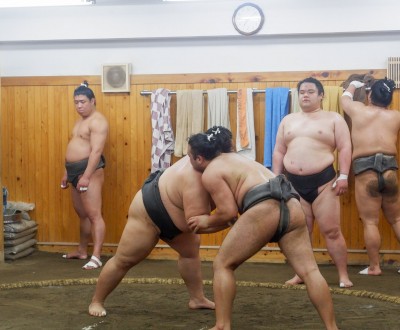Entrainement Sumo Tokyo 3