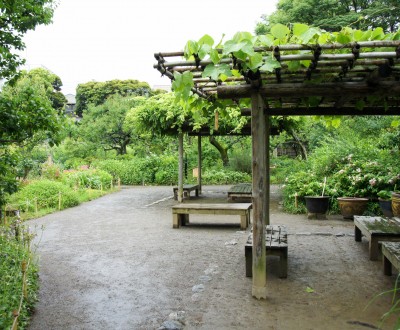 Mukojima Hyakka-en (Tokyo)