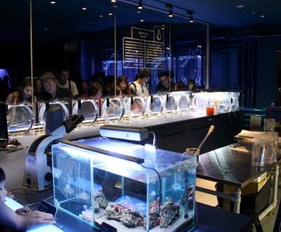 Aquarium Sumida 2