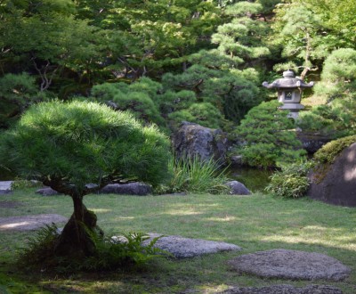 Villa Saito à Niigata, vue du jardin