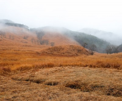 Hauts plateaux de Tonomine (Hyogo), vue sur les champs de Susuki en automne