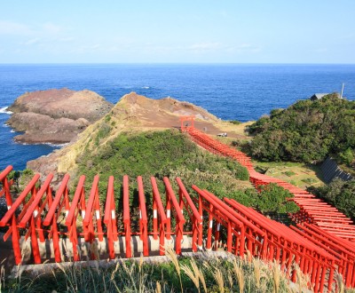 Motonosumi Inari Jinja (Chugoku), Tunnel de torii