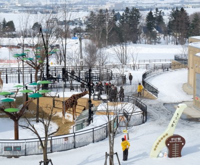 Asahikawa, Zoo Asahiyama Dobutsuen