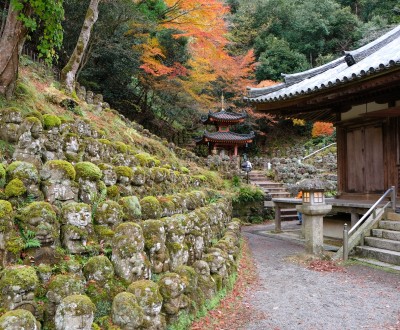 Otagi Nenbutsu-ji (Kyoto), rangées de statues Rakan autour du pavillon principal