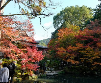 Tenju-an (Kyoto), vue sur le jardin en automne