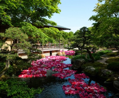 Yushi-en, Fleurs de pivoines disposées sur l'eau