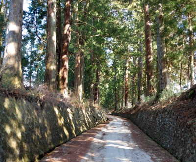 Nikko, Parc Suginamiki