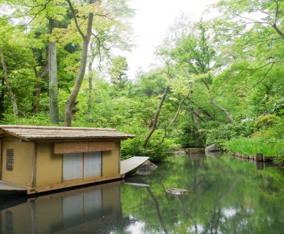 Musée Nezu (Tokyo), plan d'eau du jardin japonais