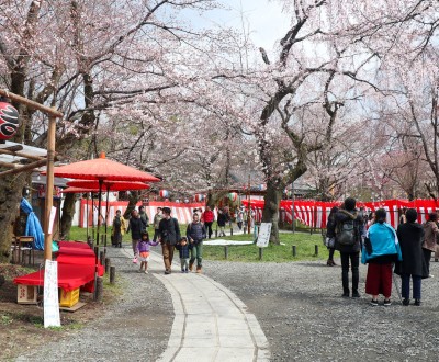 Hirano Sakura Matsuri au sanctuaire entre mars et avril