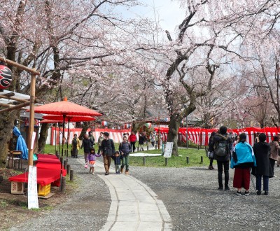 Hirano Sakura Matsuri au sanctuaire fin mars et début avril